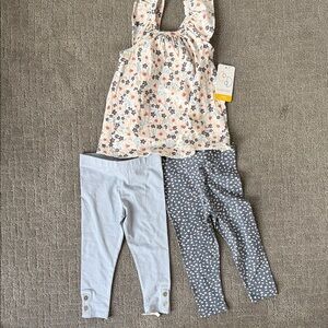 Flapdoodles Floral Top with Blue Leggings Set